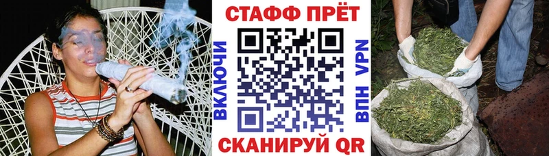 Галлюциногенные грибы Жердевка